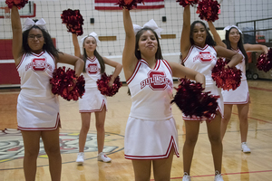  Meet the Bulldogs