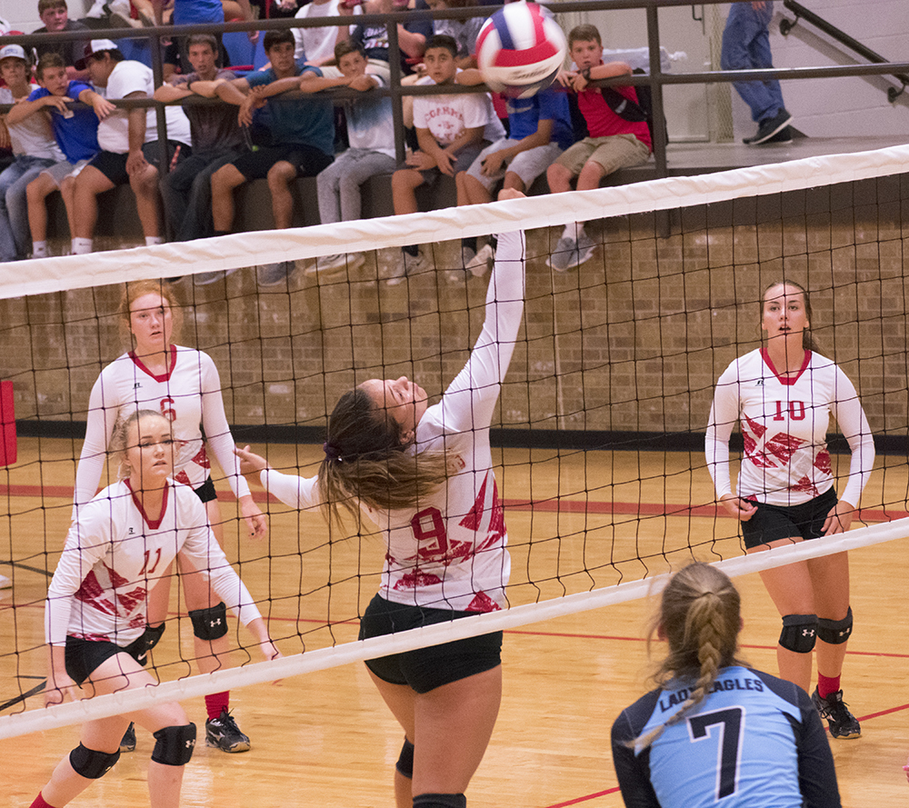 Bulldogette Volleyball