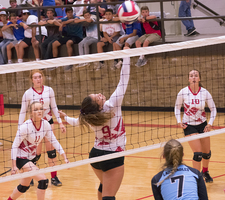 Bulldogette Volleyball
