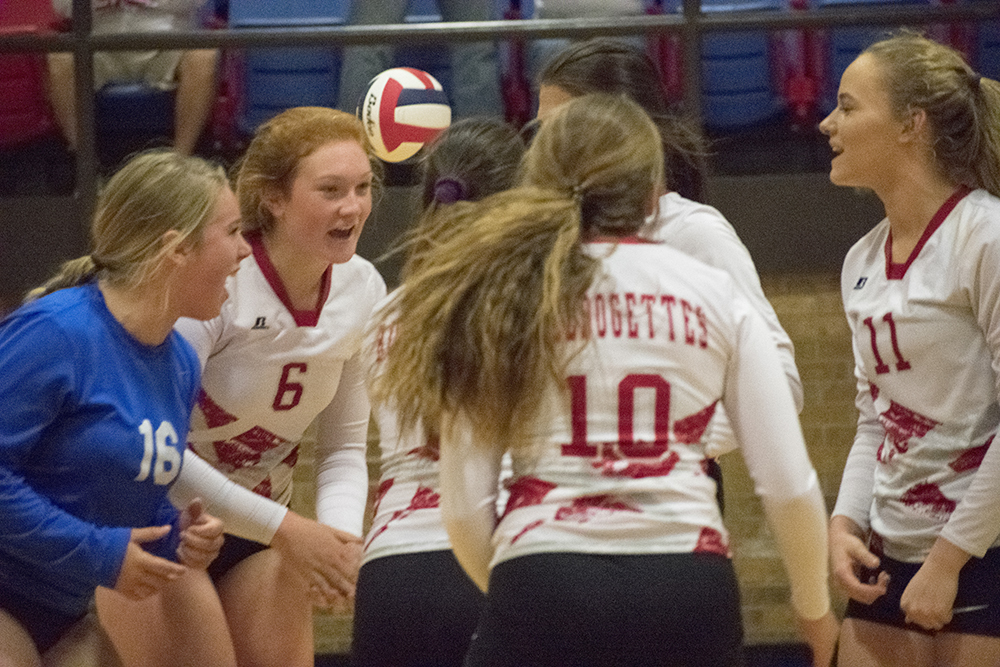 Wild finish for Dogettes district opener