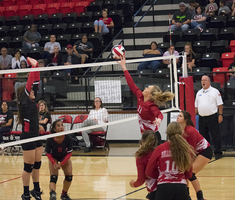 Bulldogettes lose to Lady Wolves