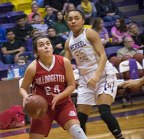 Bulldogettes drop district game to Lady Badgers