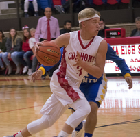 Bulldogs clip Owls