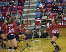Coahoma falls to Jim Ned