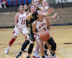 Bulldogettes shutdown Lady Cats for 54-33 win