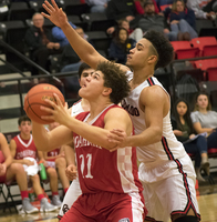 Wolves beat Bulldogs